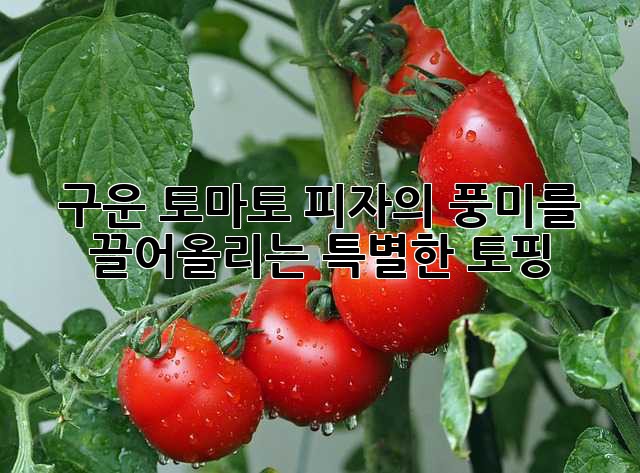 9659f88a33a933f72ab77370c4cca1fb.jpg