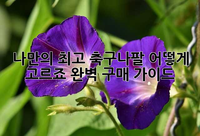 b1458da68dac9b04b565e5d191eb3bff.jpg