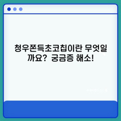 청우쫀득초코칩 완벽 가이드: 맛있게 즐기는 방법부터 보관법까지!