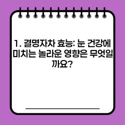 눈 건강 지킴이, 결명자차 효능 완벽 가이드: 눈의 피로, 뻑뻑함, 시력 개선에 도움되는 모든 것!