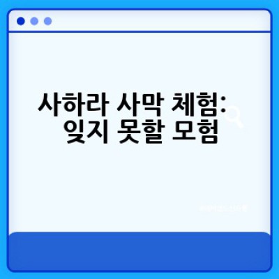 니제르 여행: 아이와 함께 안전하고 즐거운 추억 만들기 - 최고의 장소 & 필수 정보