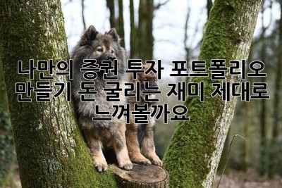 나만의 증권 투자 포트폴리오 만들기: 돈 굴리는 재미, 제대로 느껴볼까요?