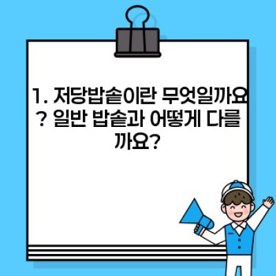 저당밥솥 완벽 가이드: 건강한 밥 짓기의 모든 것