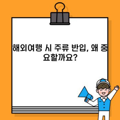 해외여행 주류 반입, 국가별 규정 완벽 정리! 걱정 끝!