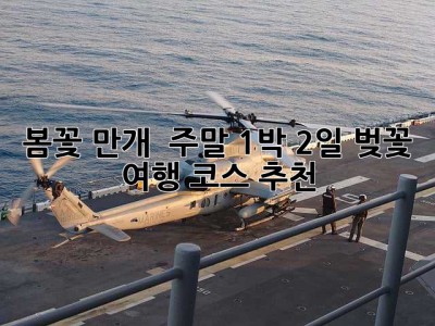봄꽃 만개! 🌸 주말 1박 2일 벚꽃 여행 코스 추천