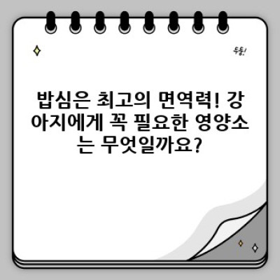 댕댕이 건강 지킴이! 강아지 면역력 완벽 가이드: 증진부터 질병 예방까지