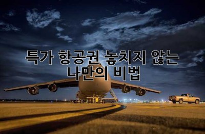 특가 항공권 놓치지 않는 나만의 비법!