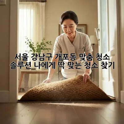 서울 강남구 개포동 맞춤 청소 솔루션: 나에게 딱 맞는 청소 찾기!
