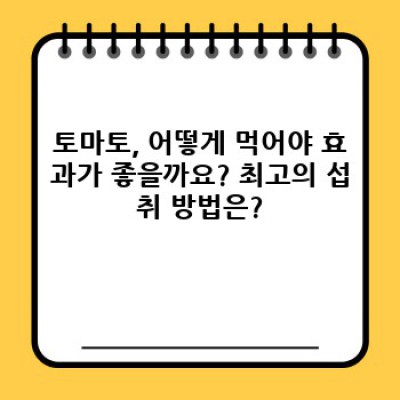 토마토의 놀라운 효능: 건강을 위한 빨간 보석의 비밀