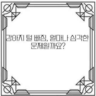 강아지 털 빠짐: 관리법과 예방법 완벽 가이드