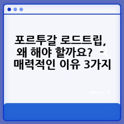 포르투갈 로드트립 가이드: 낭만과 모험의 드라이빙 여정