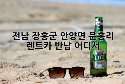 전남 장흥군 안양면 운흥리 렌트카 반납, 어디서?