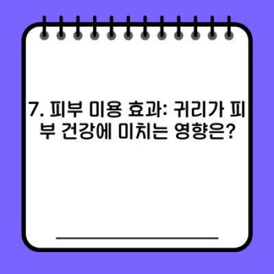 귀리 효능 완벽 가이드: 건강과 다이어트를 위한 귀리의 모든 것