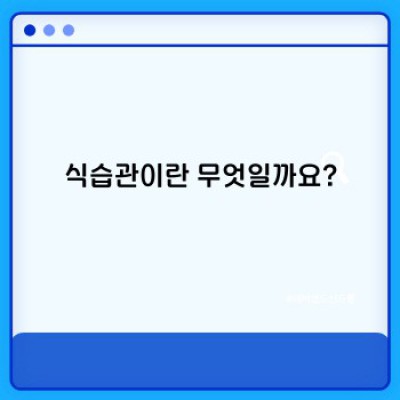 식습관: 건강한 삶을 위한 나만의 레시피 만들기