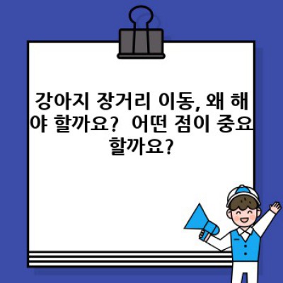 강아지 장거리 이동 완벽 가이드: 안전하고 편안한 여행을 위한 모든 것
