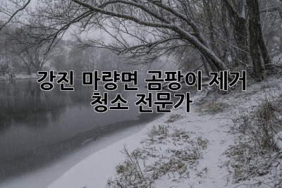 강진 마량면 곰팡이 제거 & 청소 전문가