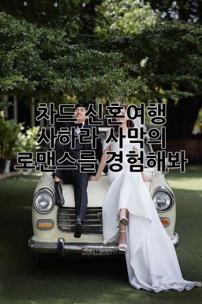 차드 신혼여행? 사하라 사막의 로맨스를 경험해봐! ✨