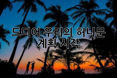 드디어, 우리의 허니문 계획 시작! ✨