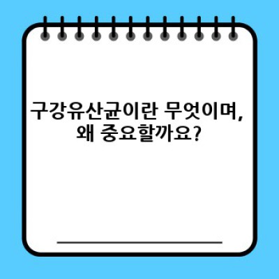 구강유산균 효능: 궁금증 해결과 효과적인 활용법 완벽 가이드
