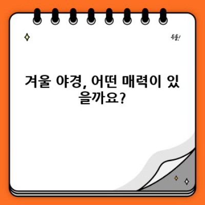 겨울철 야경 명소 요약정보 우선 확인: 추위 녹이는 아름다운 야경, 어디로 떠날까?