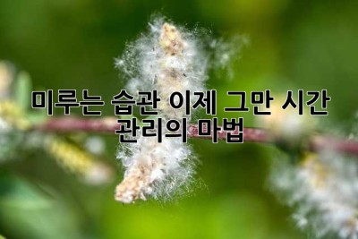 미루는 습관, 이제 그만! 시간 관리의 마법