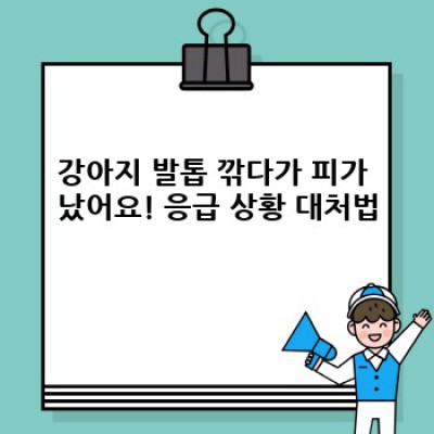 우리 강아지, 발톱 관리 어떻게 해야 할까요? (강아지 발톱 관리 완벽 가이드)