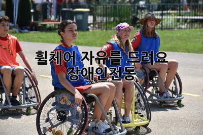 휠체어, 자유를 드려요! 🦽💨 #장애인전동