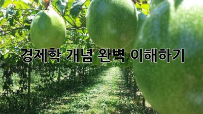경제학 개념 완벽 이해하기