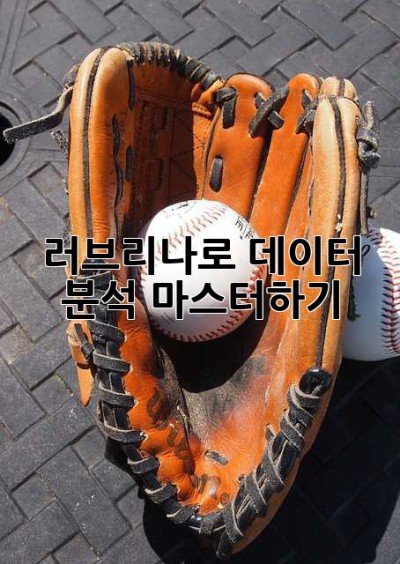러브리나로 데이터 분석 마스터하기!