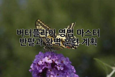 버터플라이 영법 마스터: 반팔과 완벽 훈련 계획