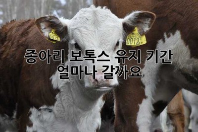 종아리 보톡스 유지 기간, 얼마나 갈까요?