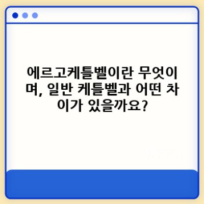 에르고케틀벨 완벽 가이드: 효과적인 운동법부터 논란 해소까지!  최신 트렌드 분석