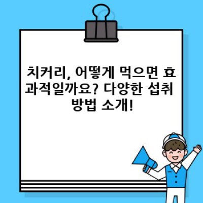 치커리 효능, 이 모든 궁금증을 해결해 드립니다!