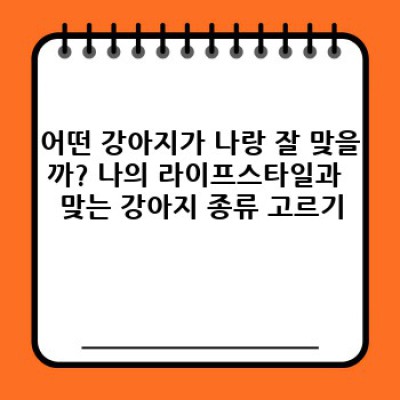 나에게 딱 맞는 강아지 찾기: 품종별 특징 완벽 가이드
