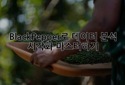 BlackPepper로 데이터 분석, 시각화 마스터하기!