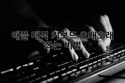 애플 매직 키보드, 오래오래 쓰는 비법! ✨