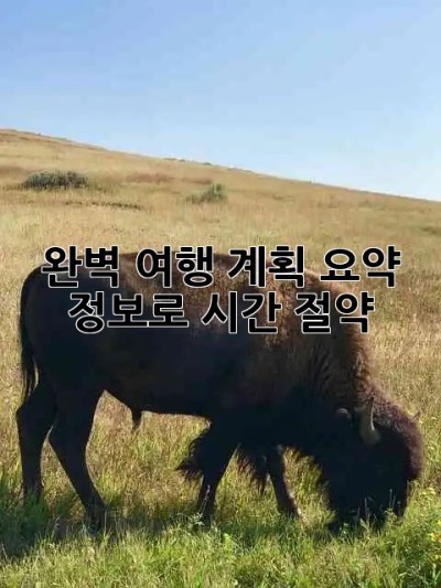🗺️ 완벽 여행 계획, 요약 정보로 시간 절약! ⏱️