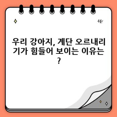 우리 강아지, 계단 오르기 힘들어 보이나요? 안전하고 편안한 계단 오르기 가이드