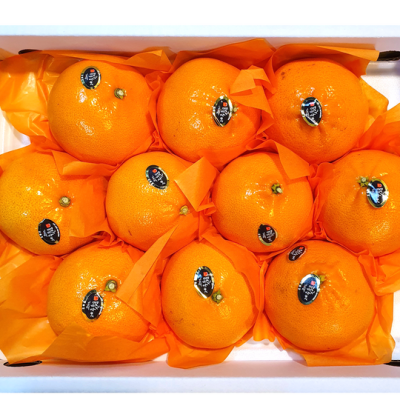 🍊 놓치면 후회! 제주천해향 특가 & 솔직 후기