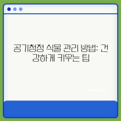 집안 공기 정화에 효과적인 식물 BEST 10: 공기청정 식물 리스트 완벽 가이드