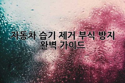 🚗 자동차 습기 제거, 부식 방지 완벽 가이드!