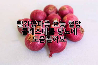 빨간양파즙 효능: 혈압, 콜레스테롤, 당뇨에 도움될까요?