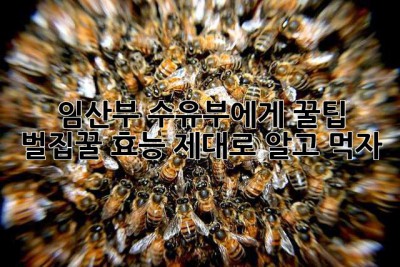 임산부, 수유부에게 꿀팁! 벌집꿀 효능 제대로 알고 먹자🍯