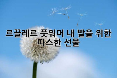 르끌레르 풋워머, 내 발을 위한 따스한 선물🎁