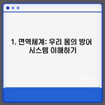면역력 강화 완벽 가이드: 신체방어력 높이는 최고의 방법 비교분석