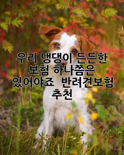 우리 댕댕이, 든든한 보험 하나쯤은 있어야죠! 🐶 반려견보험 추천