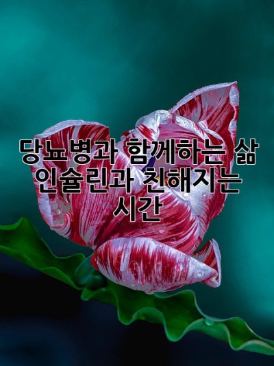 당뇨병과 함께하는 삶, 인슐린과 친해지는 시간