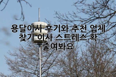 용달이사 후기와 추천 업체 찾기: 이사 스트레스, 확 줄여봐요!